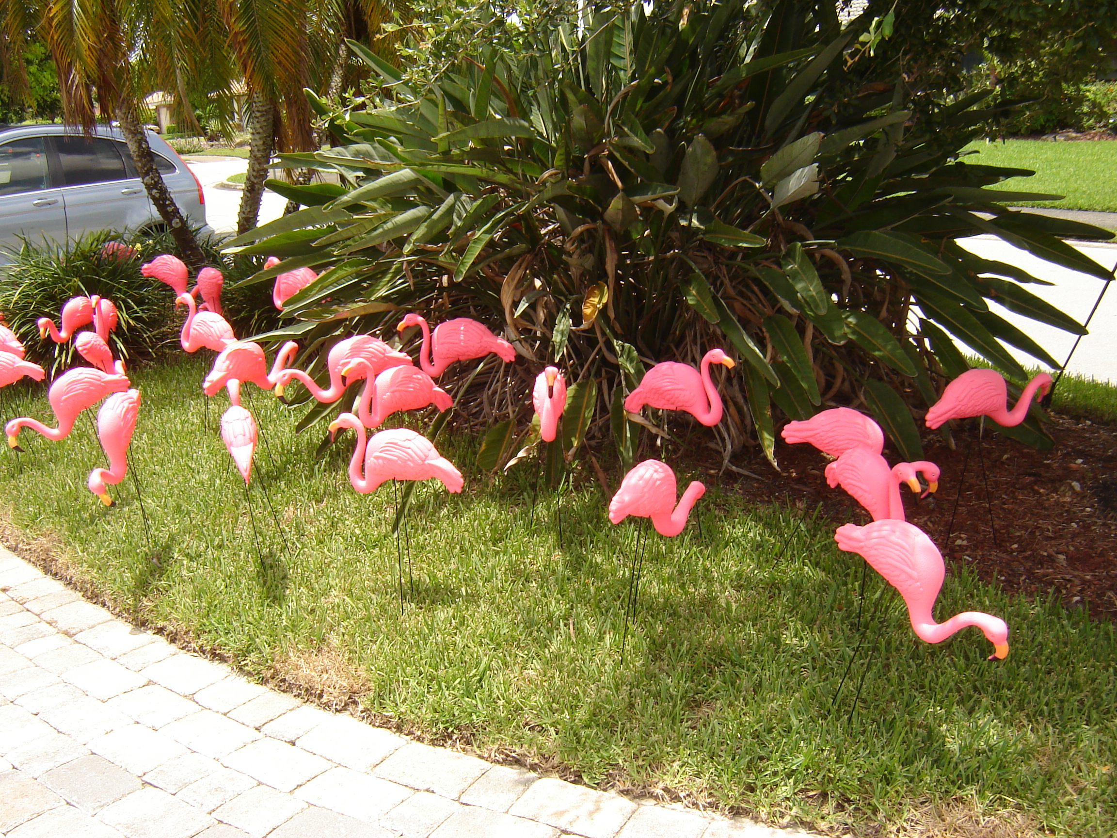 flamingo-frenzy-at-the-fords-07222010-3